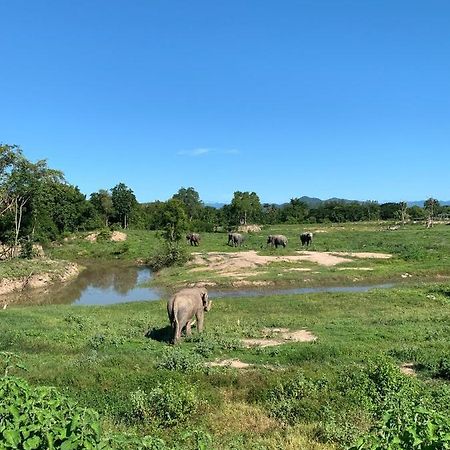 I Love Phants Lodge Ban Huai Thawai Eksteriør billede