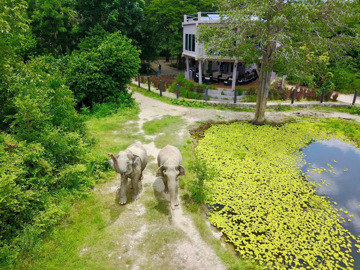 I Love Phants Lodge Ban Huai Thawai Eksteriør billede