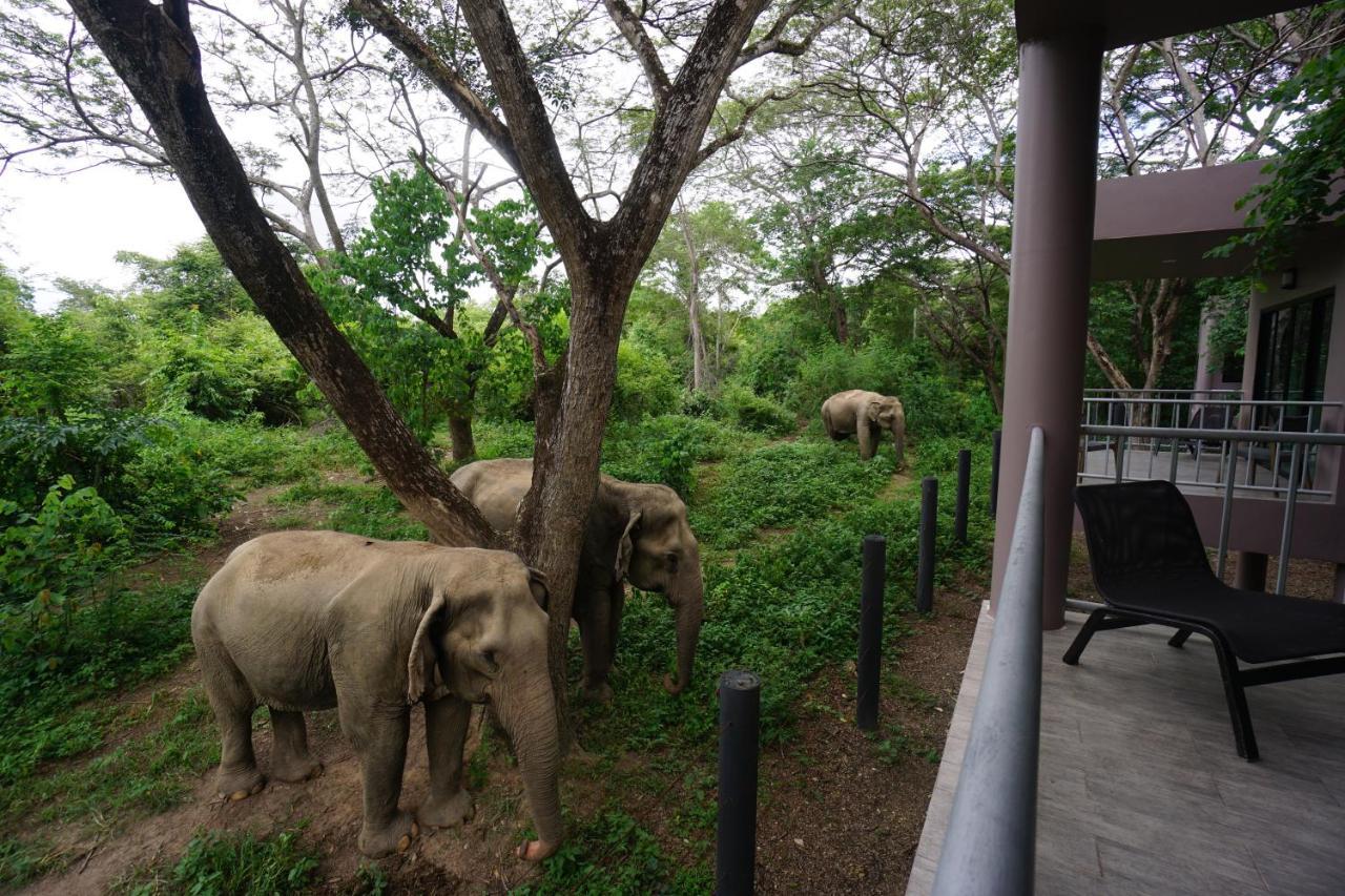 I Love Phants Lodge Ban Huai Thawai Eksteriør billede