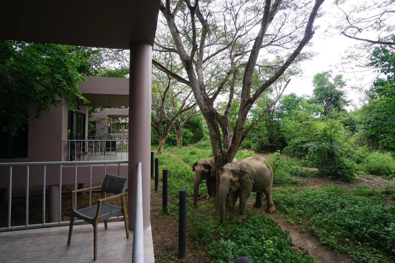 I Love Phants Lodge Ban Huai Thawai Eksteriør billede