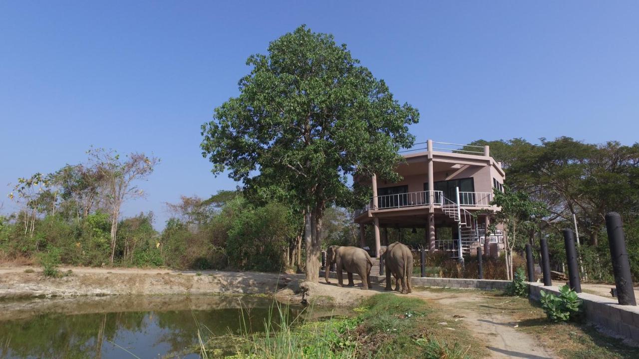 I Love Phants Lodge Ban Huai Thawai Eksteriør billede