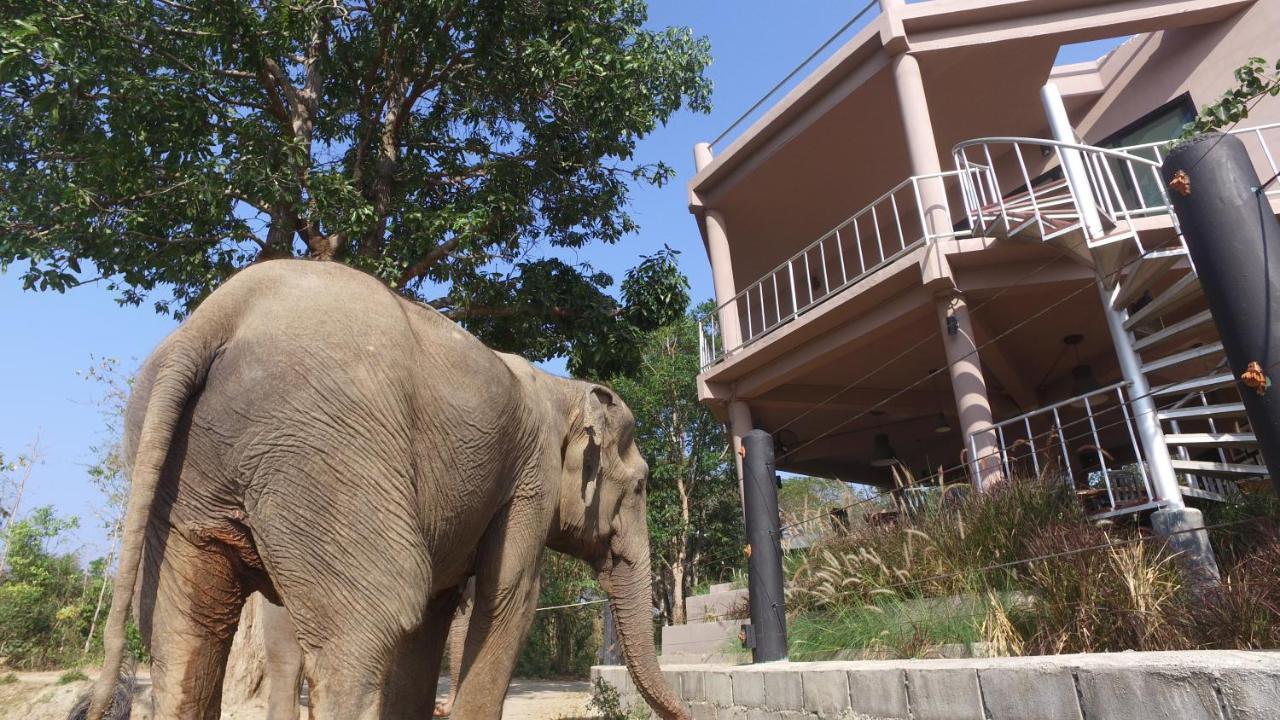 I Love Phants Lodge Ban Huai Thawai Eksteriør billede