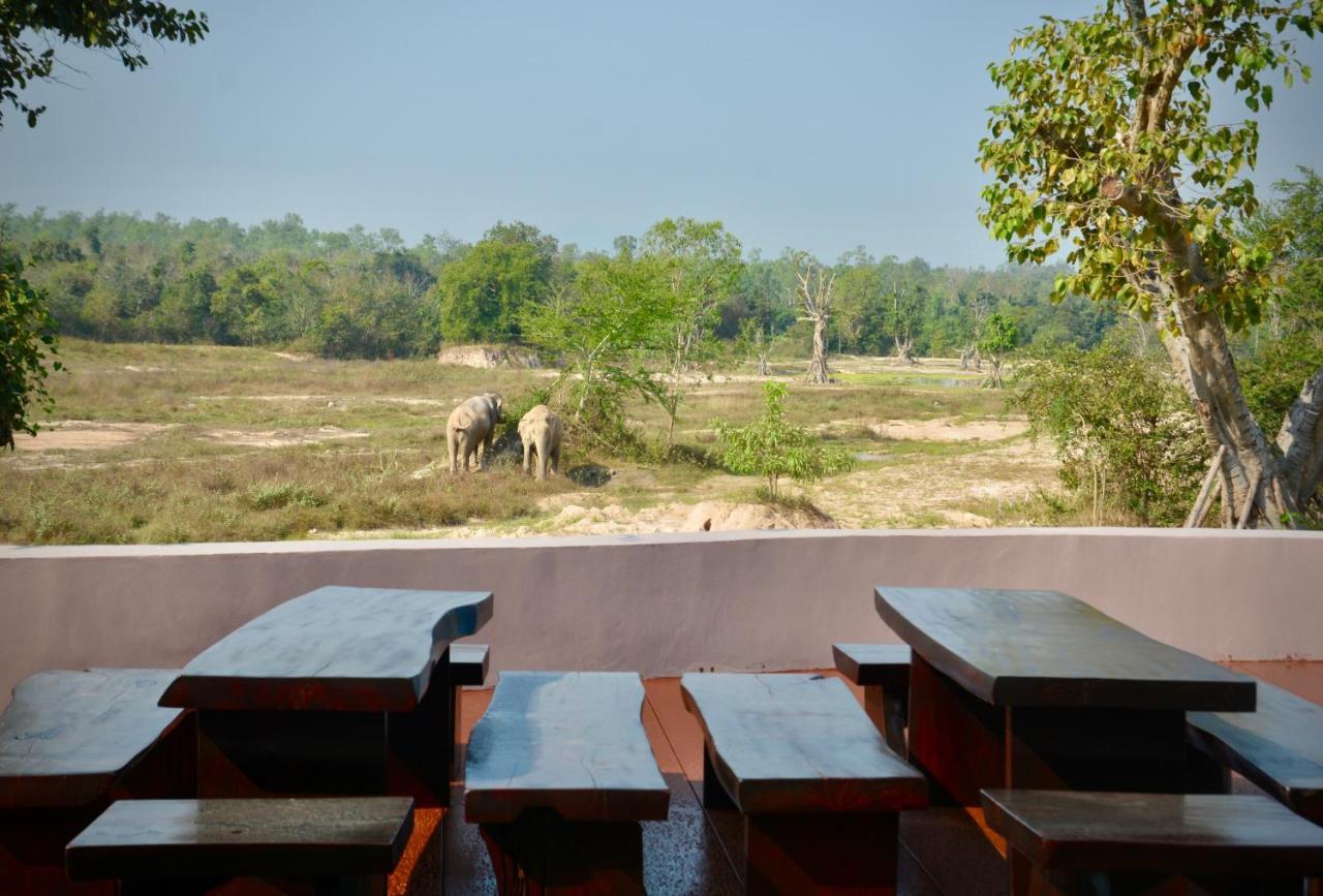 I Love Phants Lodge Ban Huai Thawai Eksteriør billede