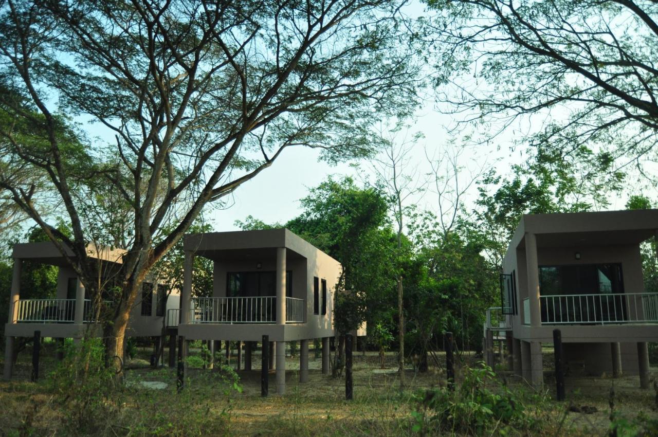 I Love Phants Lodge Ban Huai Thawai Eksteriør billede