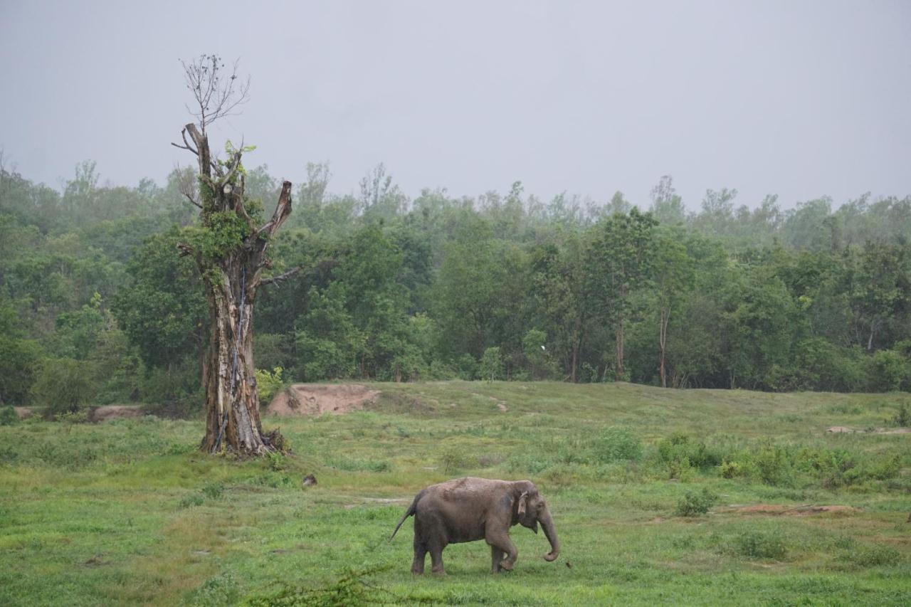 I Love Phants Lodge Ban Huai Thawai Eksteriør billede