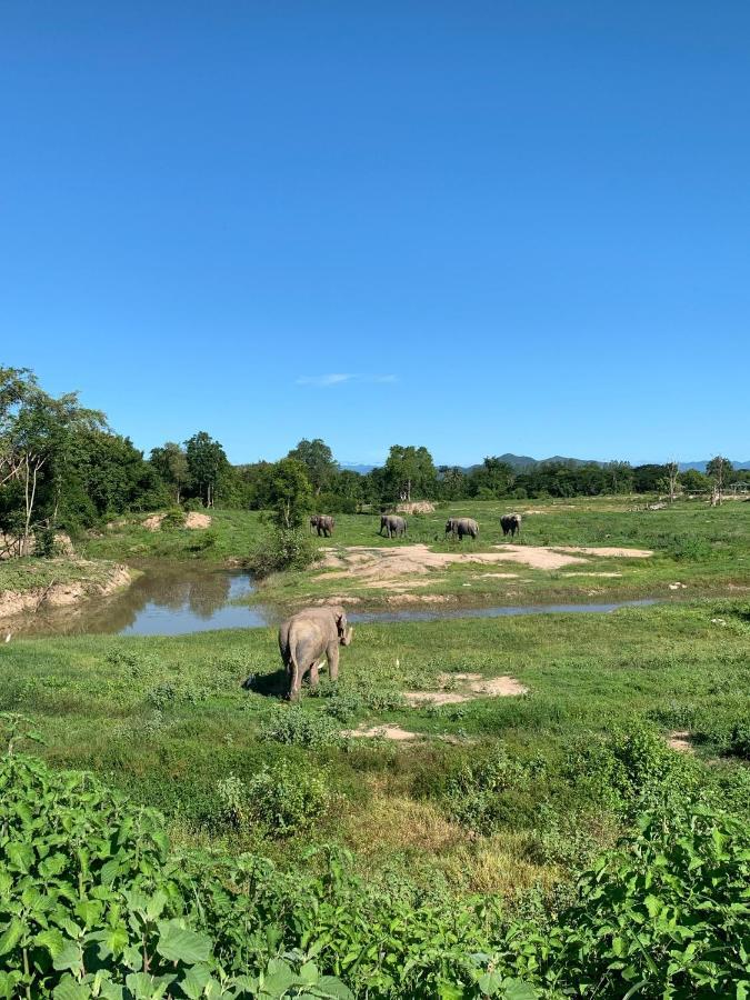I Love Phants Lodge Ban Huai Thawai Eksteriør billede