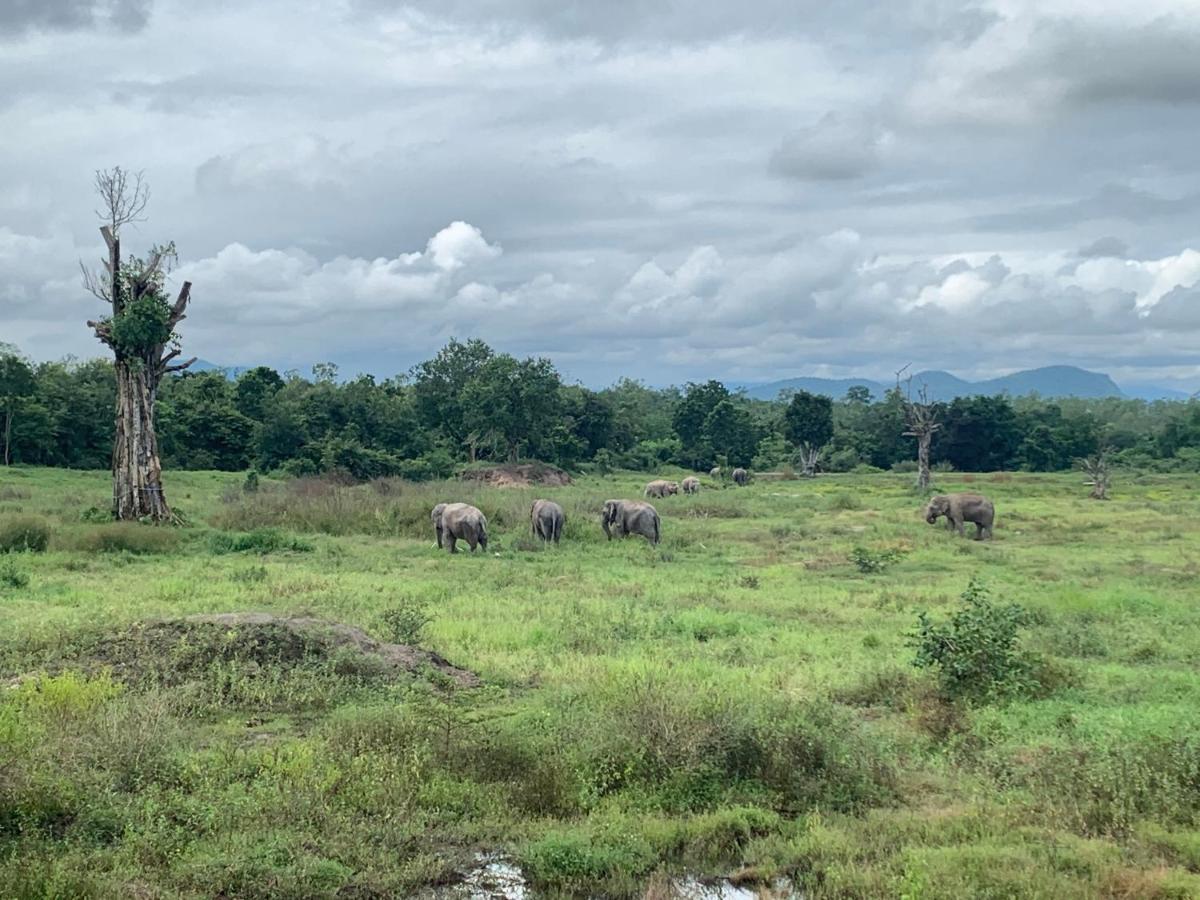 I Love Phants Lodge Ban Huai Thawai Eksteriør billede