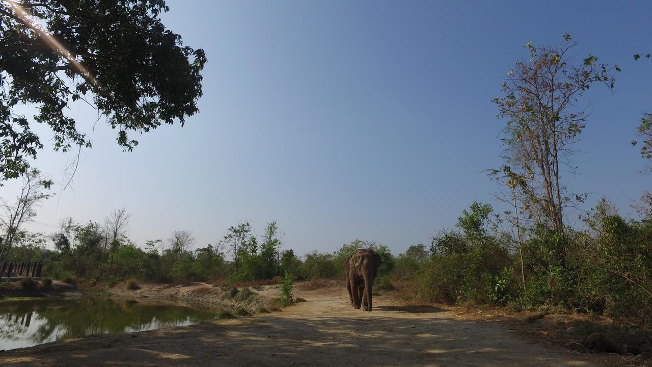 I Love Phants Lodge Ban Huai Thawai Eksteriør billede